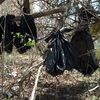 Man Arrested For Hanging Dozens Of Dead Cat Bags From A Tree